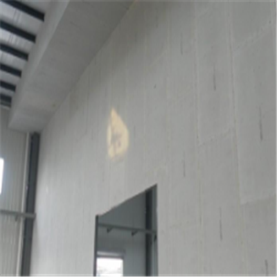 崇明宁波ALC板|EPS加气板隔墙与混凝土整浇联接的实验研讨